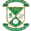 Roslea Shamrocks GAA - successful fundraising